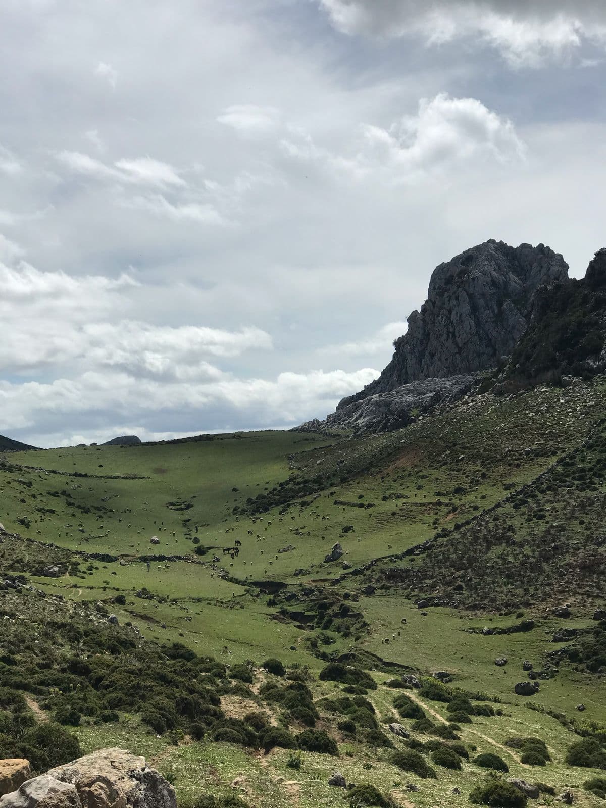 10-Day Grand Morocco Tour: From Fes to the Sahara, Imperial Cities, and the Atlantic Coast