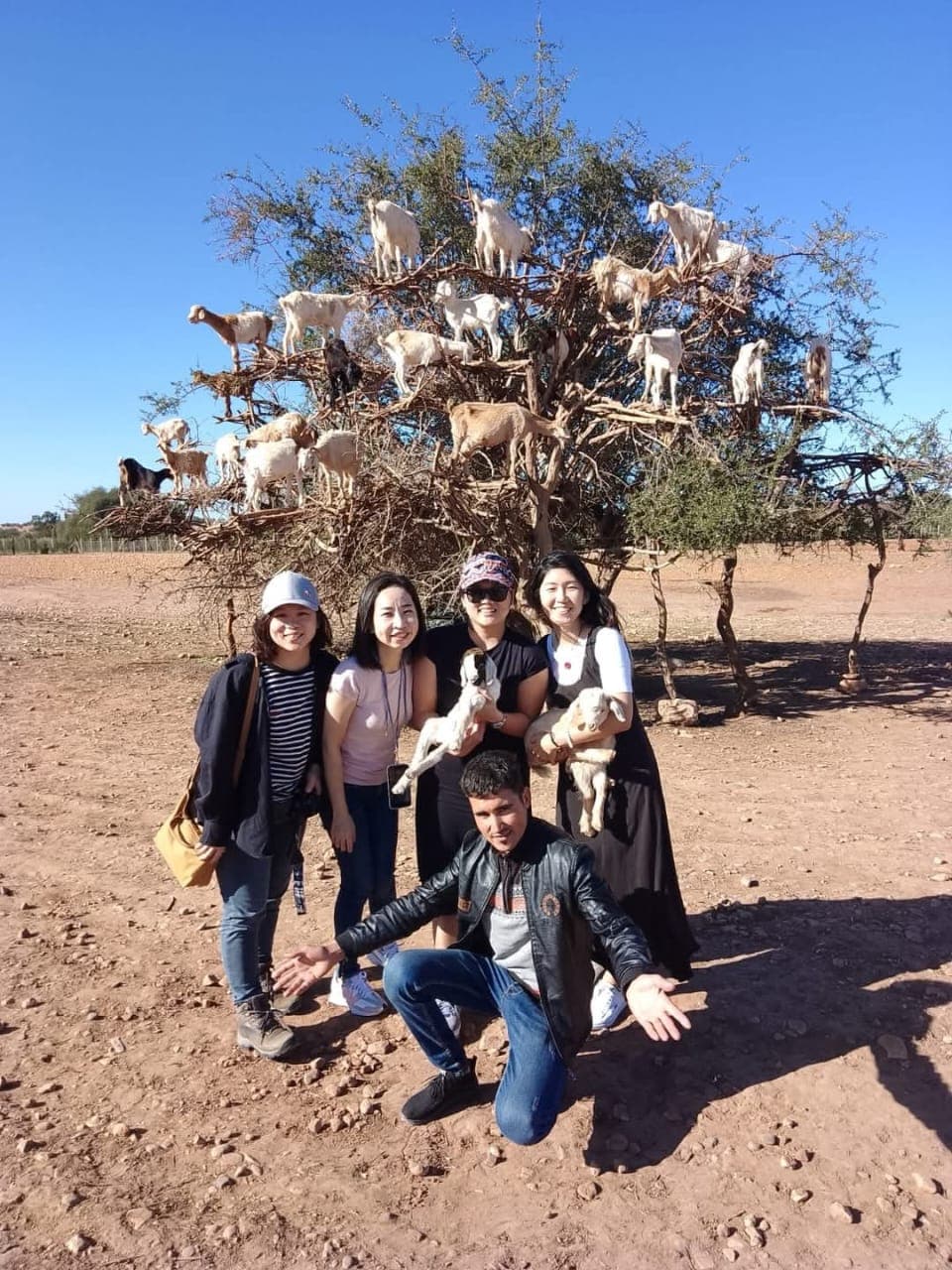 11 days tour from Tangier to Marrakech by Sahara desert